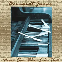 Never Saw Blue Like That cover
